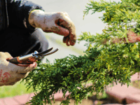 Village hall gets it’s gardening gloves on for makeover event 