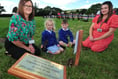 Mighty oaks from little acorns grow