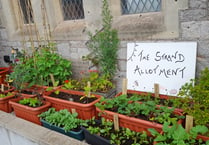 Mini allotment launched in town centre 