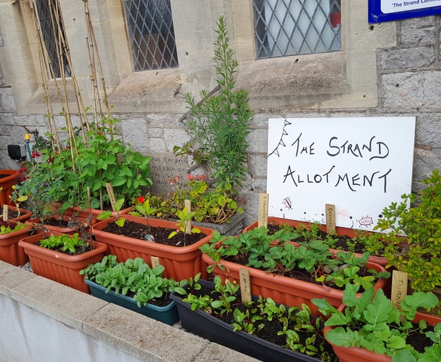 Mini allotment launched in town centre 