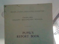 Hopes for Dawlish Secondary School reunion 