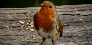 Parking charges to increase at country park