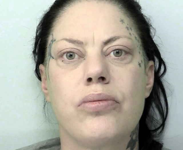 'Dognapper' used pistol in terrifying pet raid