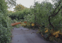 Devon Highways teams thanked for swift clear-up after storm