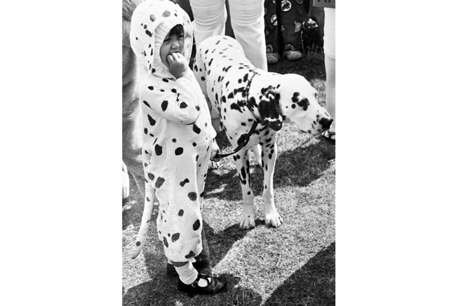 Nearly 101 Dalmations  - three year old Nicola Balll and Brunoe awaits the start of the fancy dress parade