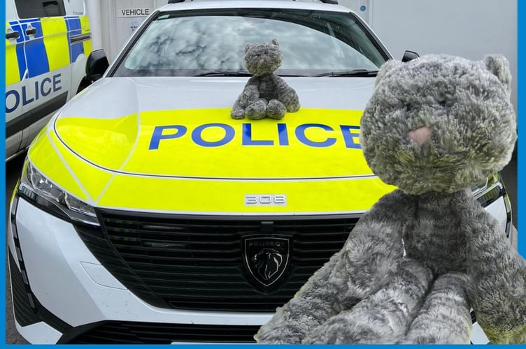 Purrfect... Police rescued this missing cat. Do you know his owner?
Picture: Newton Abbot police (10-8-23)