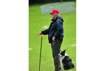 Every dog has its day... sheepdog society's farm trial delights crowd