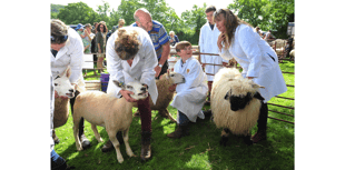 Picture Special: Christow Show ablaze with colour