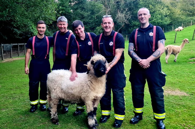 Drill night on the farm for Buckfastleigh's firefighters