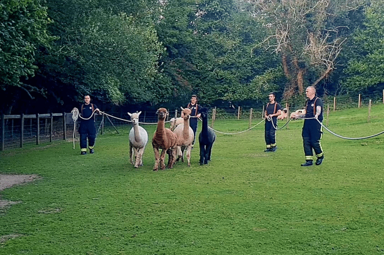 Drill night of a different kind for Buckfastleigh's firefighters