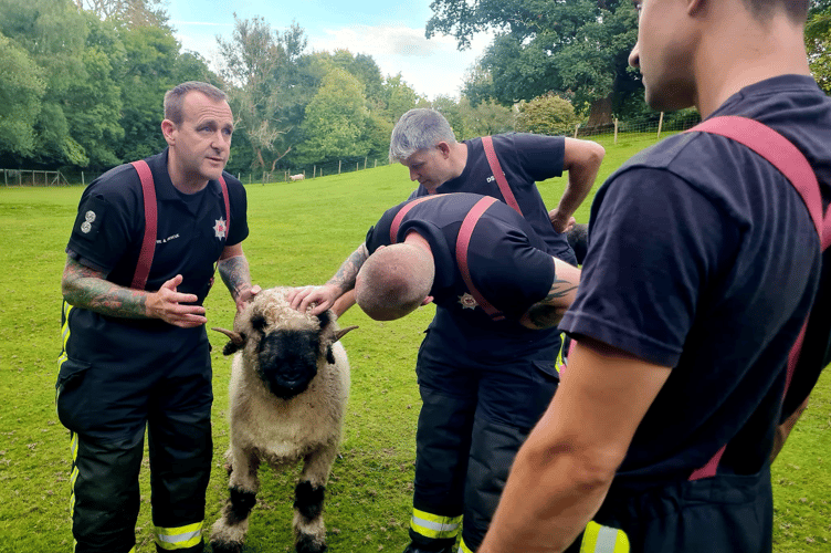 Drill night of a different kind for Buckfastleigh's firefighters