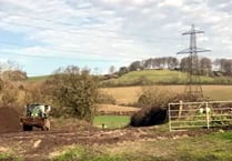 Order to protect trees on Newton Abbot development site