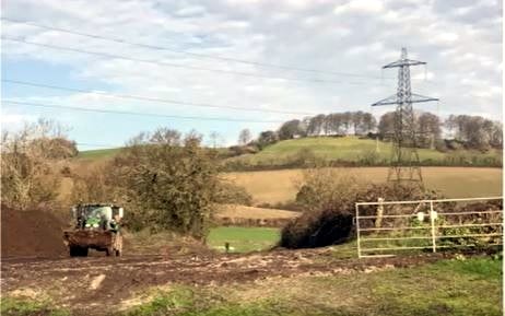 The site of a new TPO at Bradmore Woods. Picture Teignbridge District Council