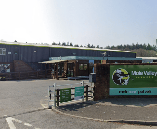 IT failure leaves Mole Valley Farmers paralysed