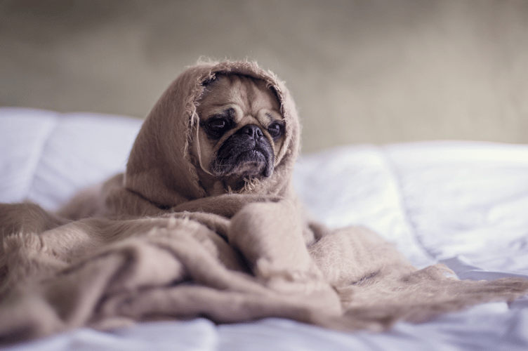 Sleep stock image