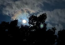 Did you see the Blue Moon last night? These readers did