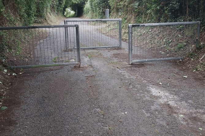 Five Lanes footpath cleared of debris by Kingsteignton Town Council 
