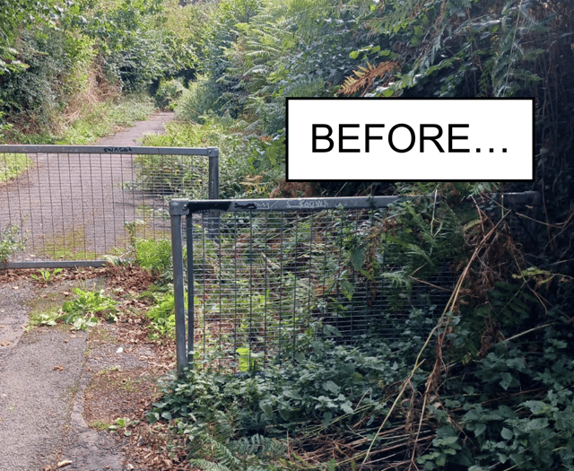 Maintenance Team strike again and clear the way forward 