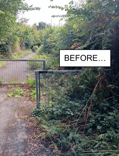 Five Lanes footpath cleared of debris by Kingsteignton Town Council
