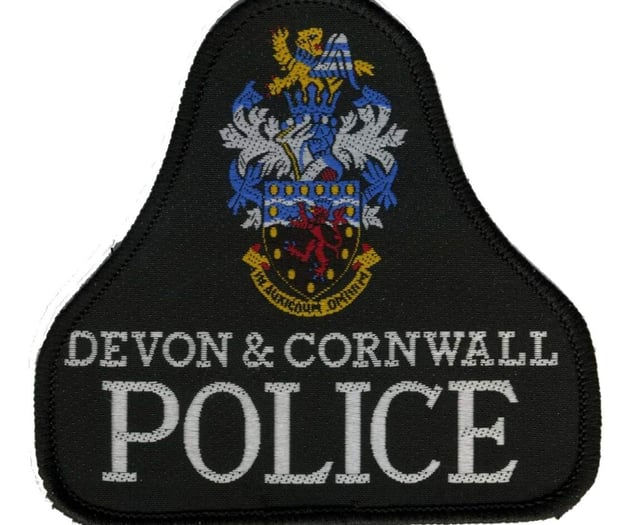Teenager charged with eight offences 