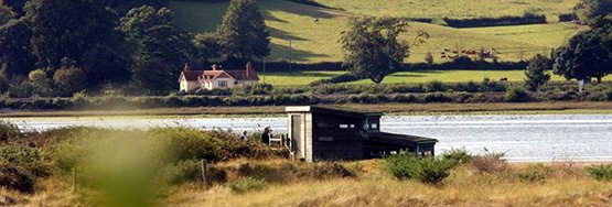 Walking backto Dawlish