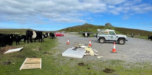 Rubbish cleared from Dartmoor beauty spots