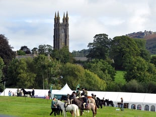 Gearing up for this year's Widecombe Fair 