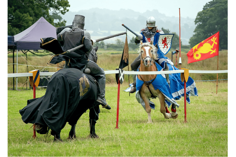 Jousting by Christina.