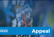 Appeal after collision involving man and car