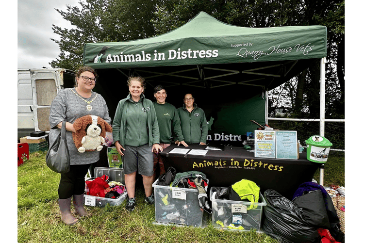 Picture Special: Celebrating our four-legged friends at Dawlish show