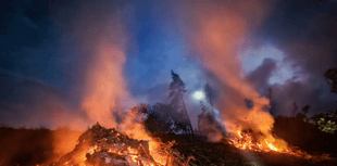 ICYMI: Fire crews tackle blaze at Vennford Reservoir