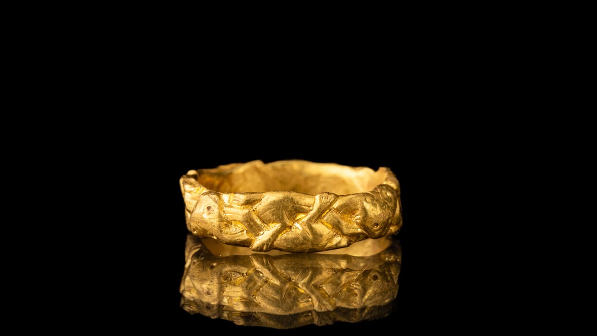 Exeter museum acquires rare Wembworthy Anglo-Saxon gold ring - Mid