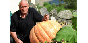 Roger’s smashing pumpkins are a hit