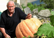 Roger’s smashing pumpkins are a hit