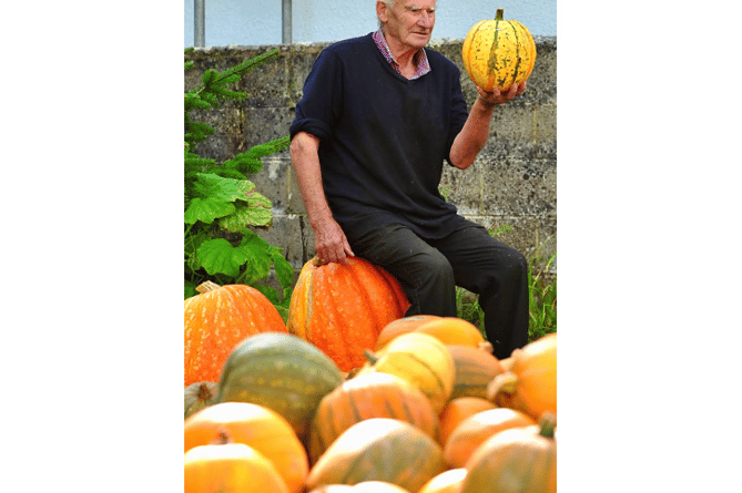 Muse on a squash - Roger contemplates the complexities of growing all  pumpkins great and small .