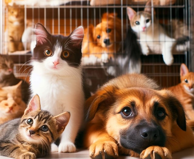 Pets galore welcome at Pet Day