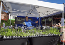 Fun for foodies at Dawlish festival