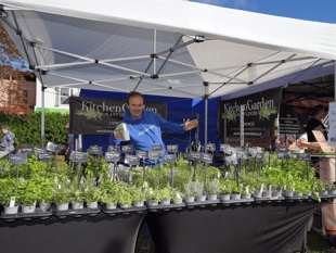 Fun for foodies at Dawlish festival