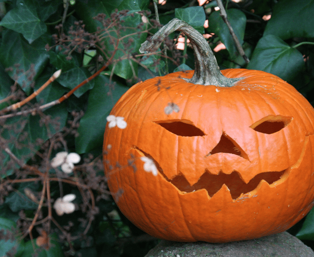 Don't dump pumpkins in Stover park plea