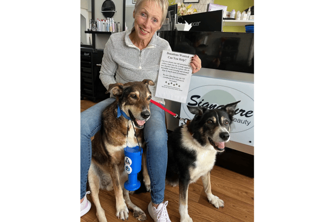 Dawlish hair salon's donations to help canine charities