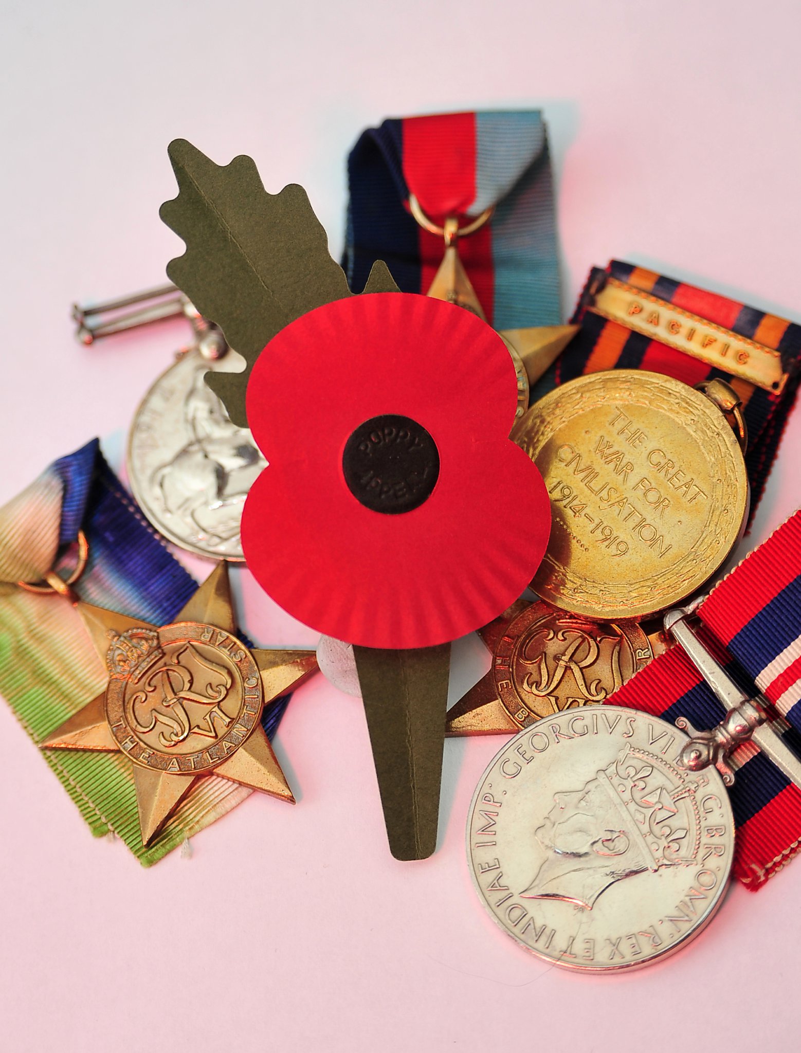 Royal British Legion's new eco-friendly poppy