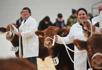 Video: Agrifest ploughs new path for Devon farmers