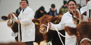 Agrifest: Devon's premier primestock show