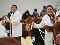 Agrifest: Devon's premier primestock show