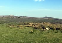 Concern as Dartmoor Review enters final phase