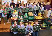 Sea scouts pack Christmas hampers 