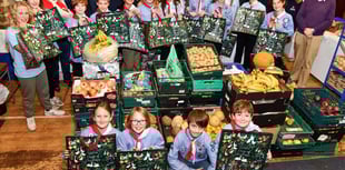 Sea scouts pack Christmas hampers 