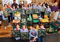 Sea scouts pack Christmas hampers 