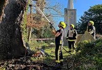 200-year-old tree set alight 