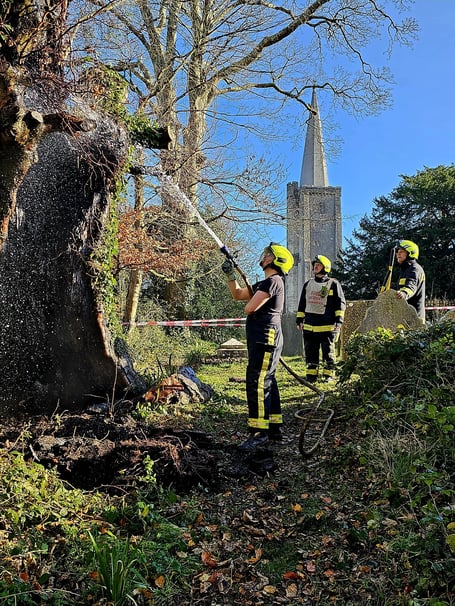 Buckfastleigh firefighters tackle an arson attack on a tree